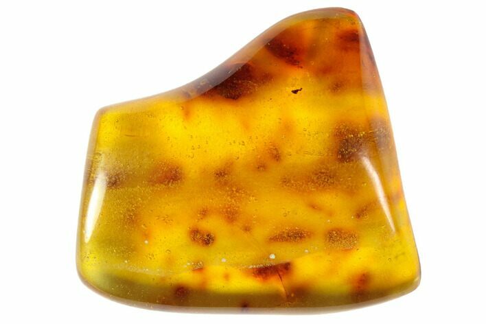 Polished Chiapas Amber ( g) - Mexico #114701